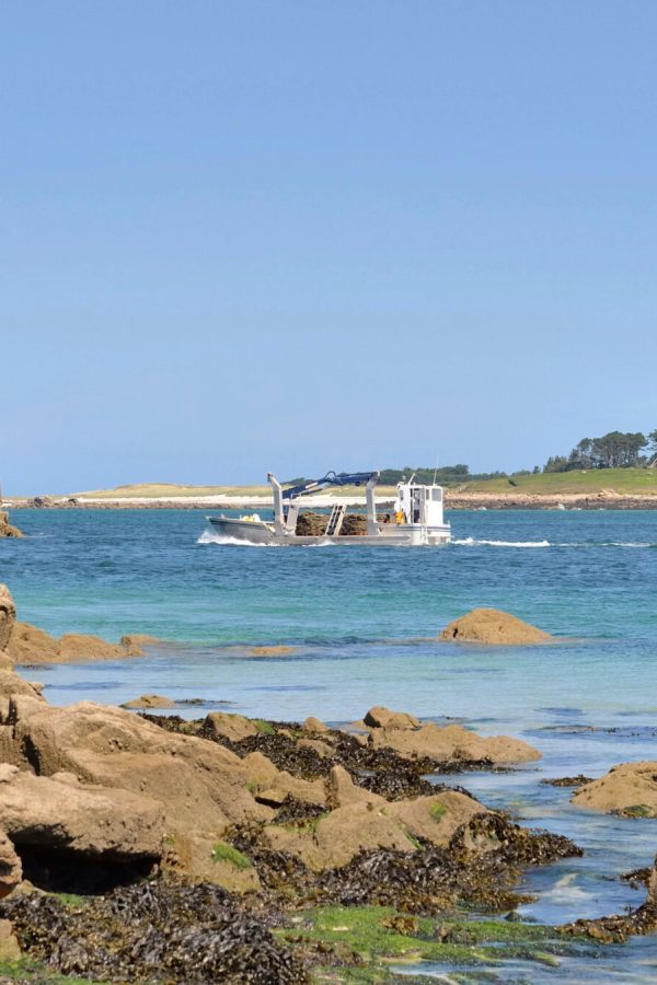 rocky-beach-view-with-boats-and-beacon-background-in-aber-benoit-brittany-france